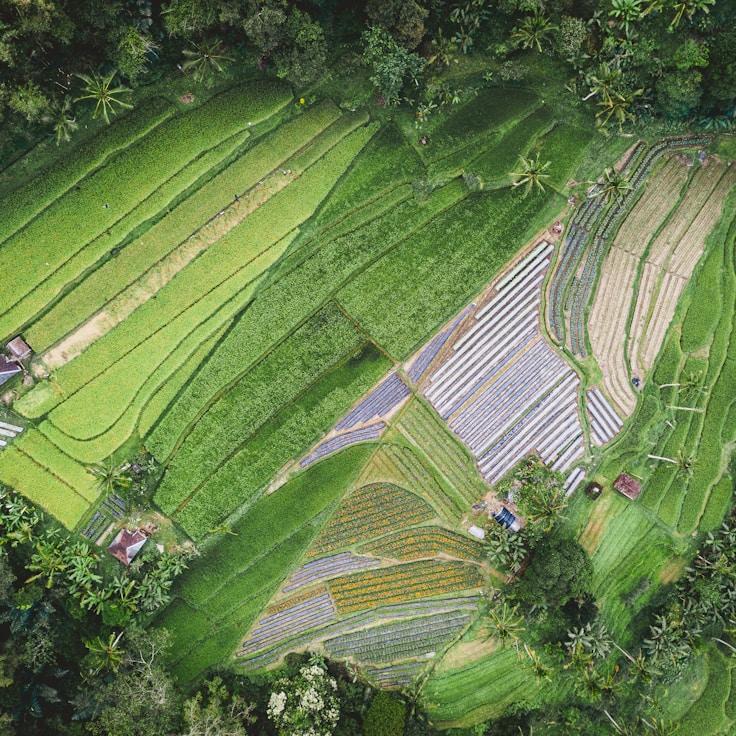 Kids playground area in Portugal